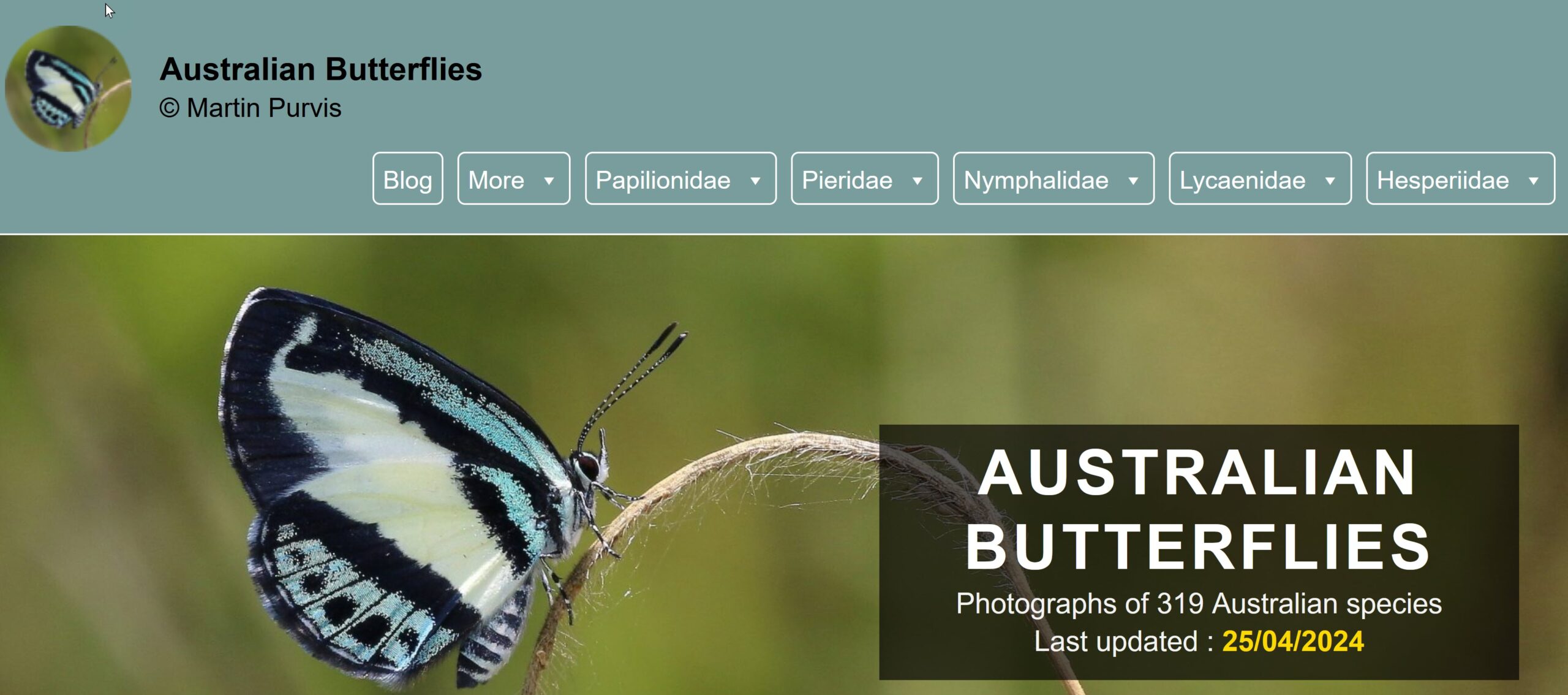 Australian Butterflies website Book Cover