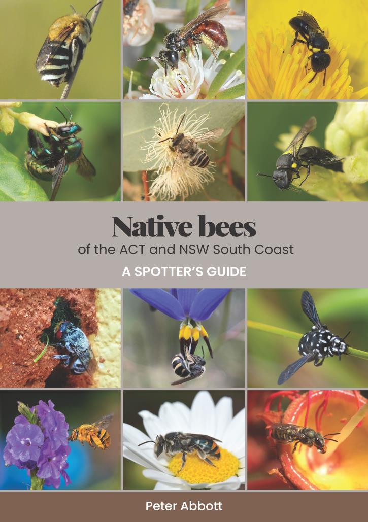 Native bees of the ACT and NSW South Coast—A spotter's guide