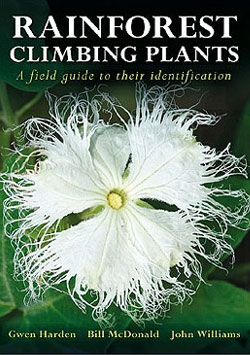 Rainforest climbing plants