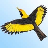 Birds of Australia app