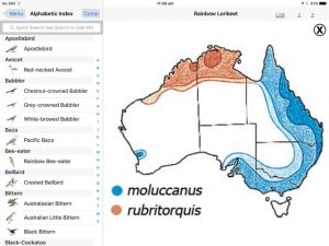 birds-of-australia-moorcombe02