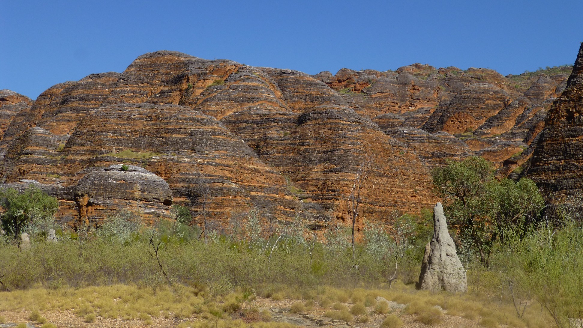 biodiversity-resources-for-western-australia-ecobits-australia