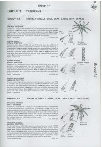 Rainforest Trees and Shrubs