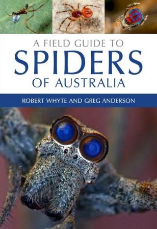 A field Guide to Spiders of Australia Book Cover