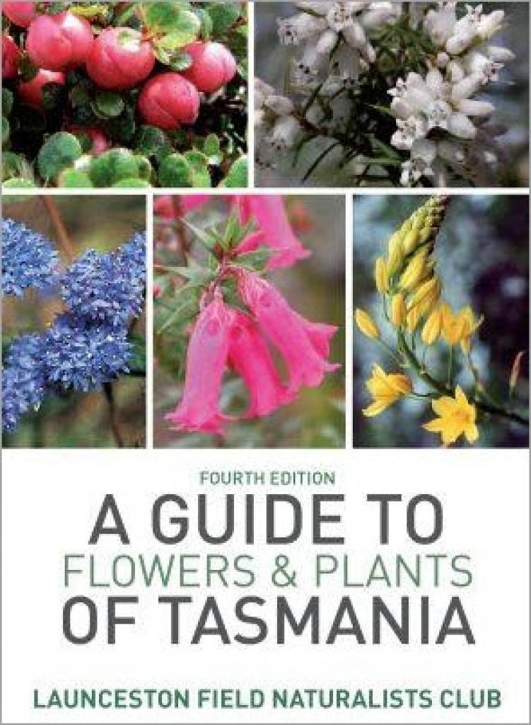 A Guide to Flowers and Plants of Tasmania Ecobits Australia