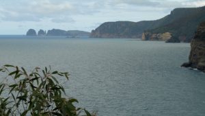 Biodiversity resources for Tasmania
