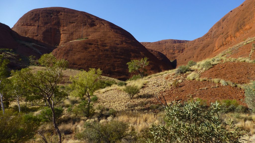 Biodiversity resources for the Northern Territory
