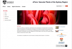 eFlora — Vascular Plants of the Sydney Region