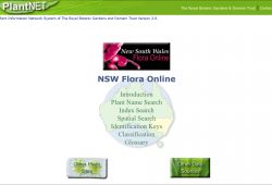 New South Wales Flora online