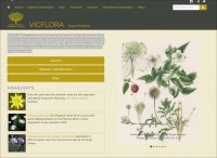 VicFlora Flora of Victoria
