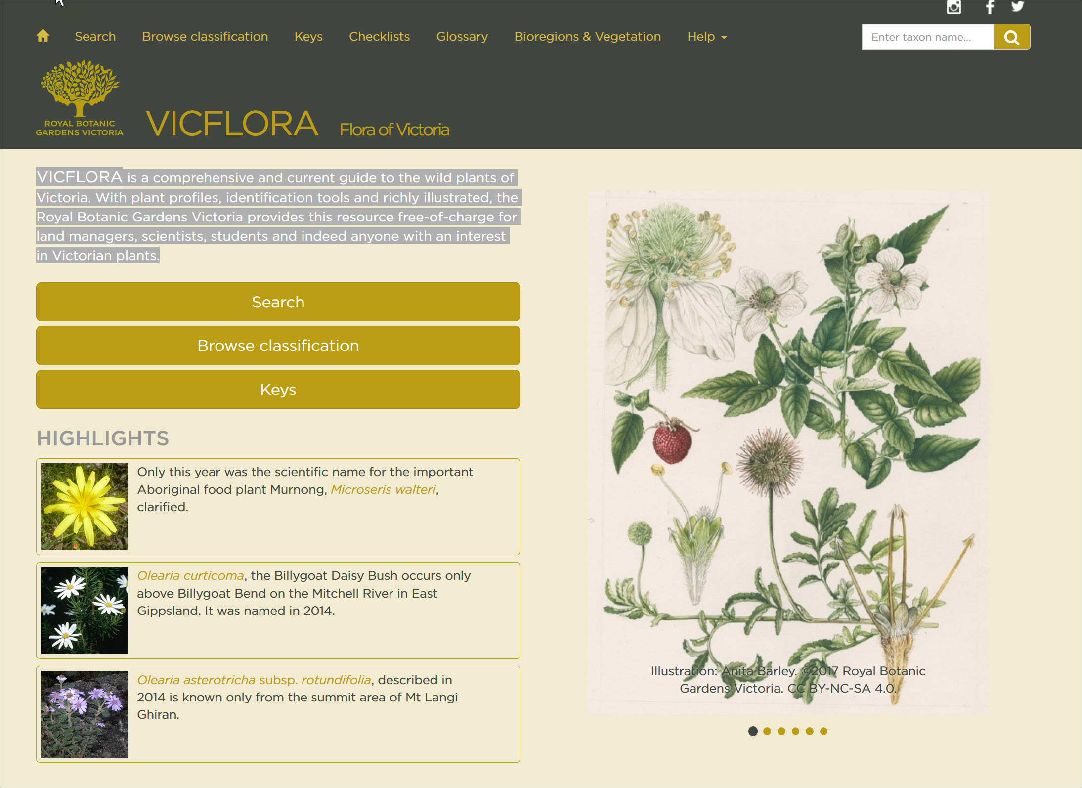 VicFlora — Flora of Victoria | Ecobits Australia