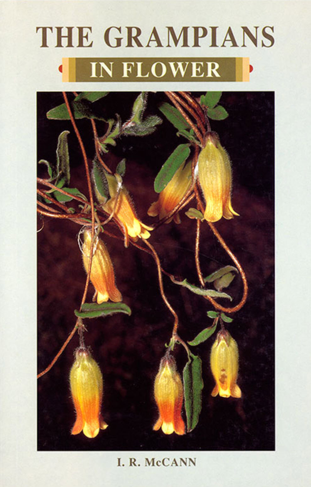 The Grampians in Flower Book Cover