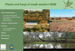 Plants and Fungi of South Western New South Wales
