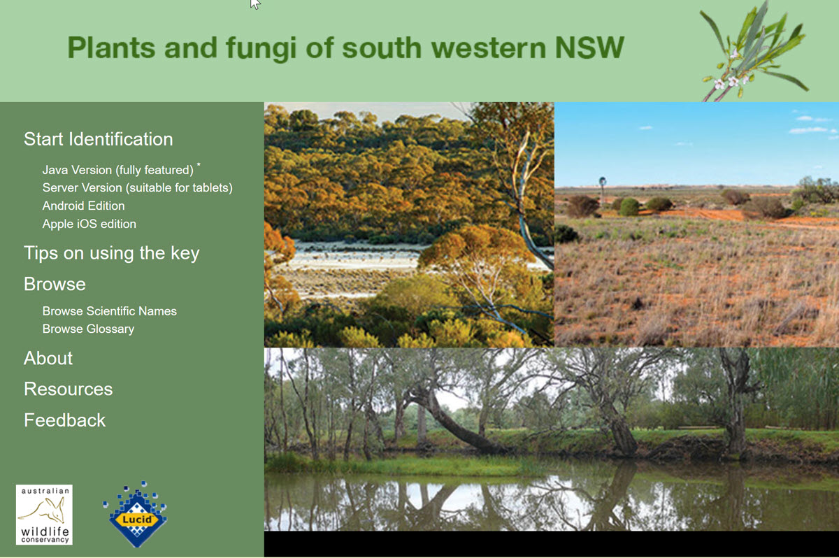 Plants and Fungi of South Western New South Wales Book Cover