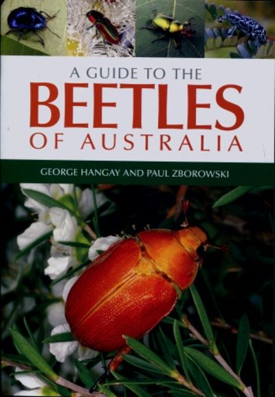 A Guide to the Beetles of Australia Book Cover