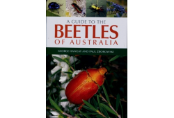 A Guide to the Beetles of Australia