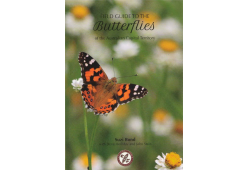 Field Guide to the Butterflies of the Australian Capitral Territory