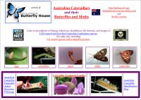 Australian Caterpillars and their Butterflies and Moths