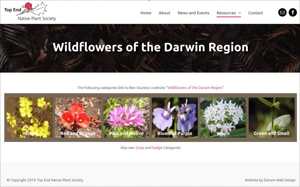 Wildflowers of the Darwin Region