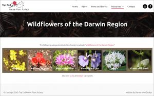 Wildflowers of the Darwin Region