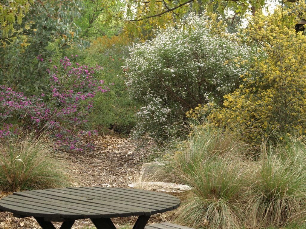 How to create a wildlife-friendly garden: mulch path