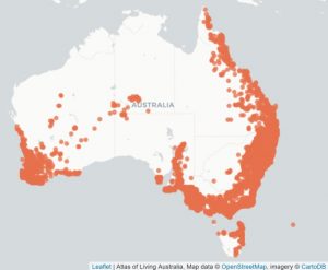 Xanthorrhoea species distribution in Australia