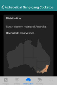 Field Guide to Australian Capital Territory Fauna app, Gang Gang