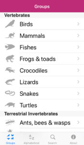 Field Guide to Queensland Fauna app