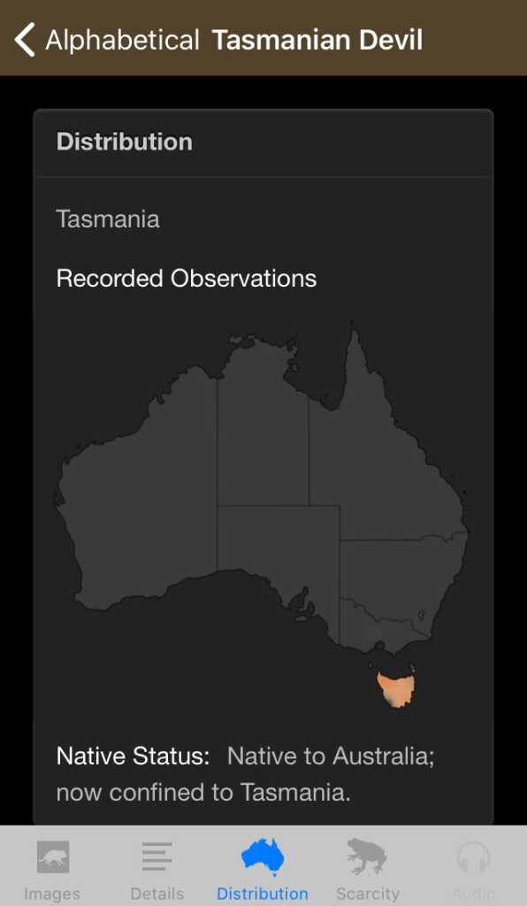 Field Guide to Tasmanian Fauna app, Tasmanian Devil