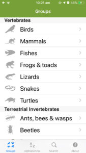 Field Guide to Victorian Fauna app