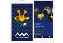 FrogID app