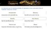 The Caterpillar Key website