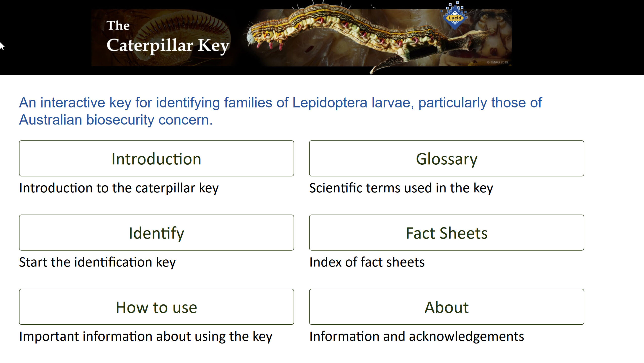 The Caterpillar Key website Book Cover