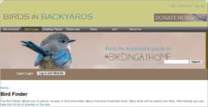 Birds in backyards website