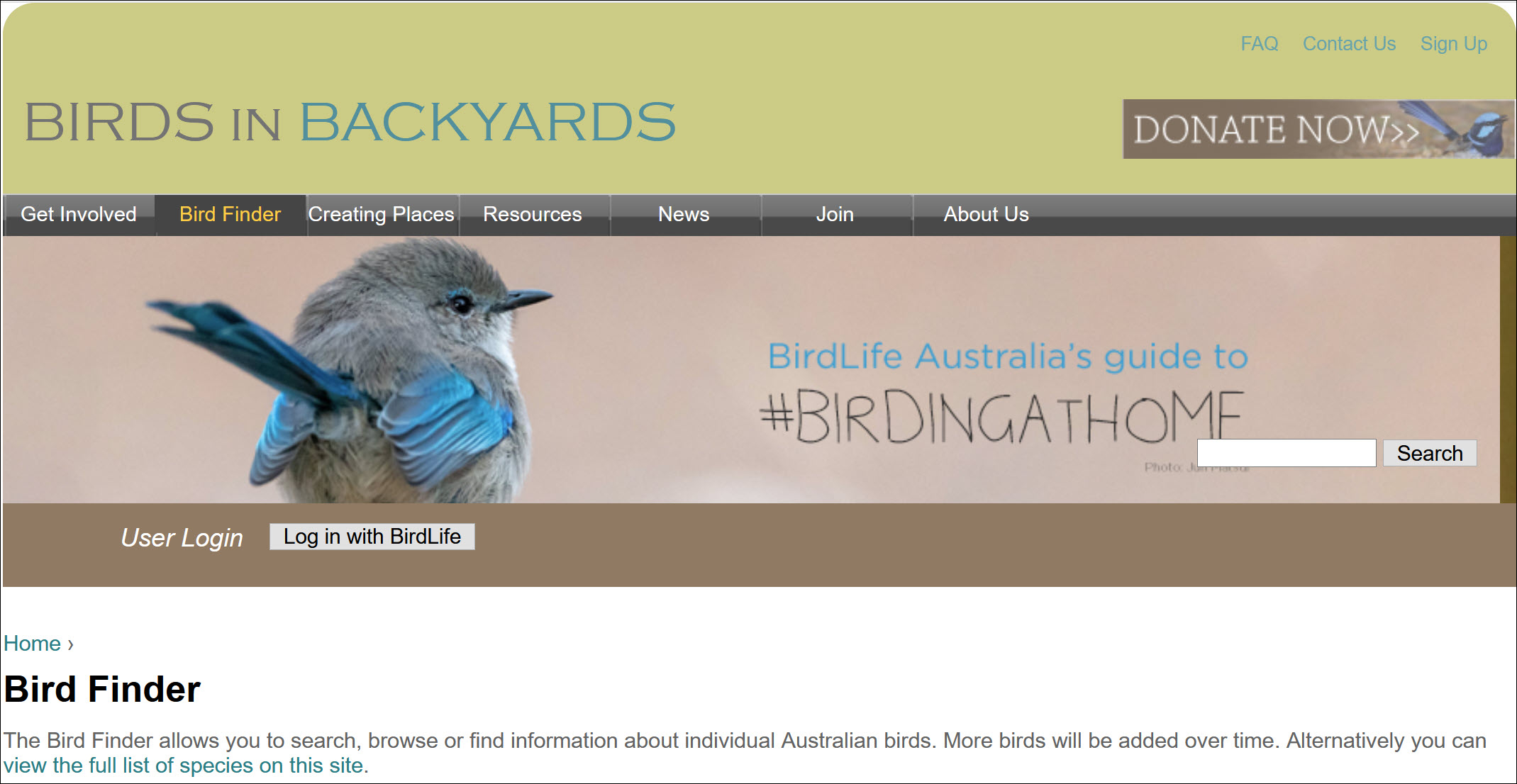 Birds in Backyards website Book Cover