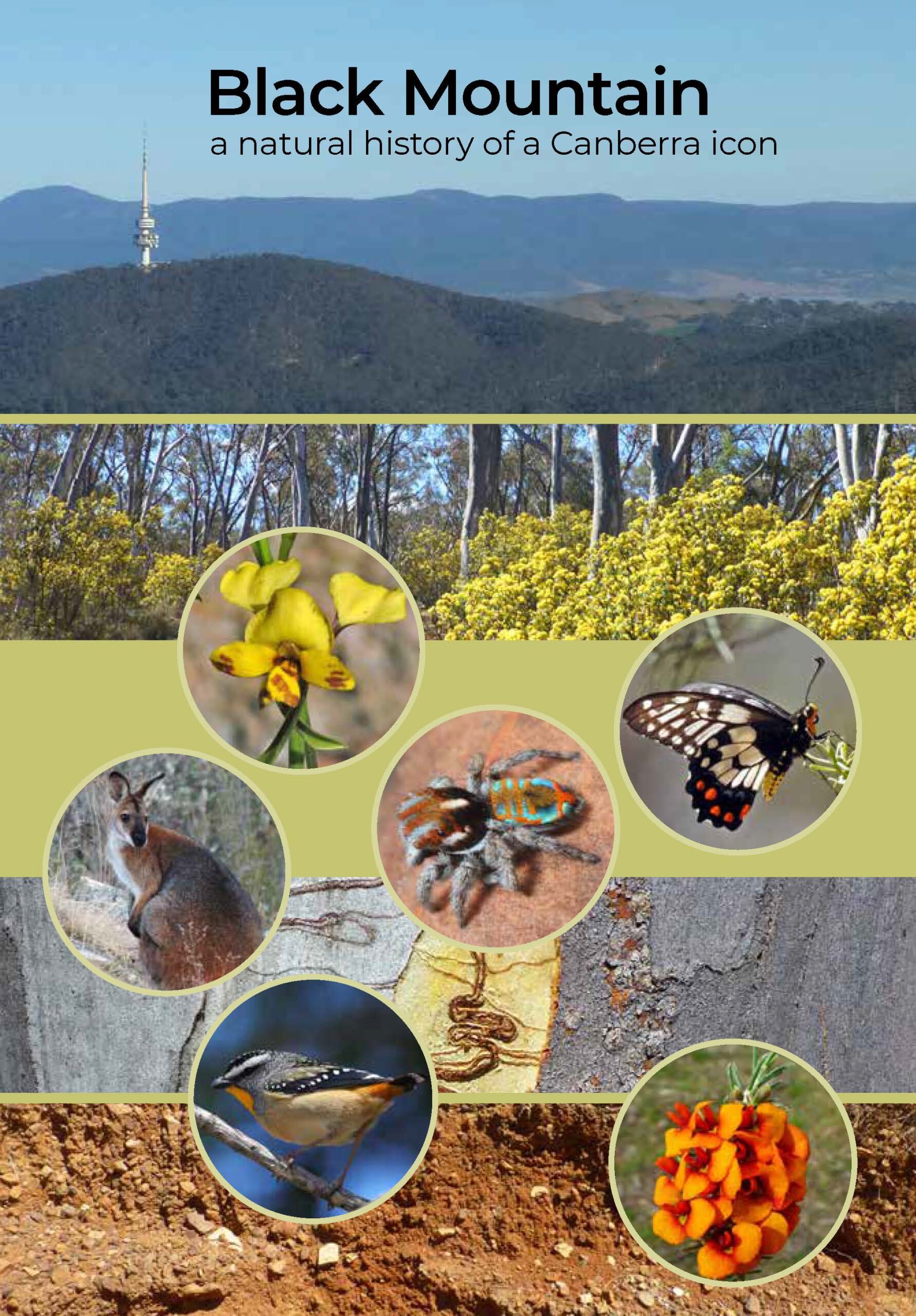 Black Mountain: a natural history of a Canberra icon Book Cover