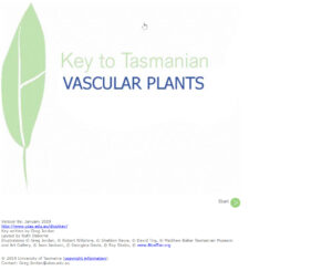 Key to Tasmanian Vascular Plants