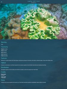 Coastal Life of SE Queensland app species description