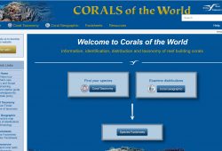 Corals of the World website