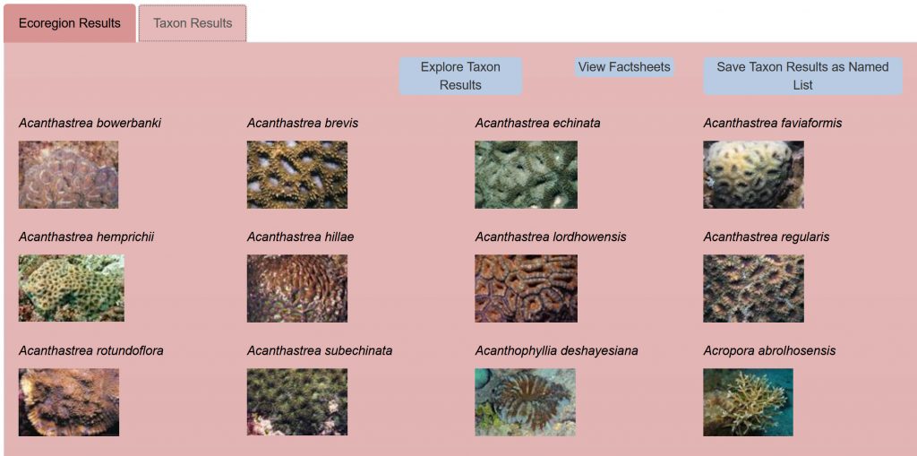 Corals of the World website, ecoregion species overview