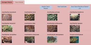 Corals of the World website, ecoregion species overview regions