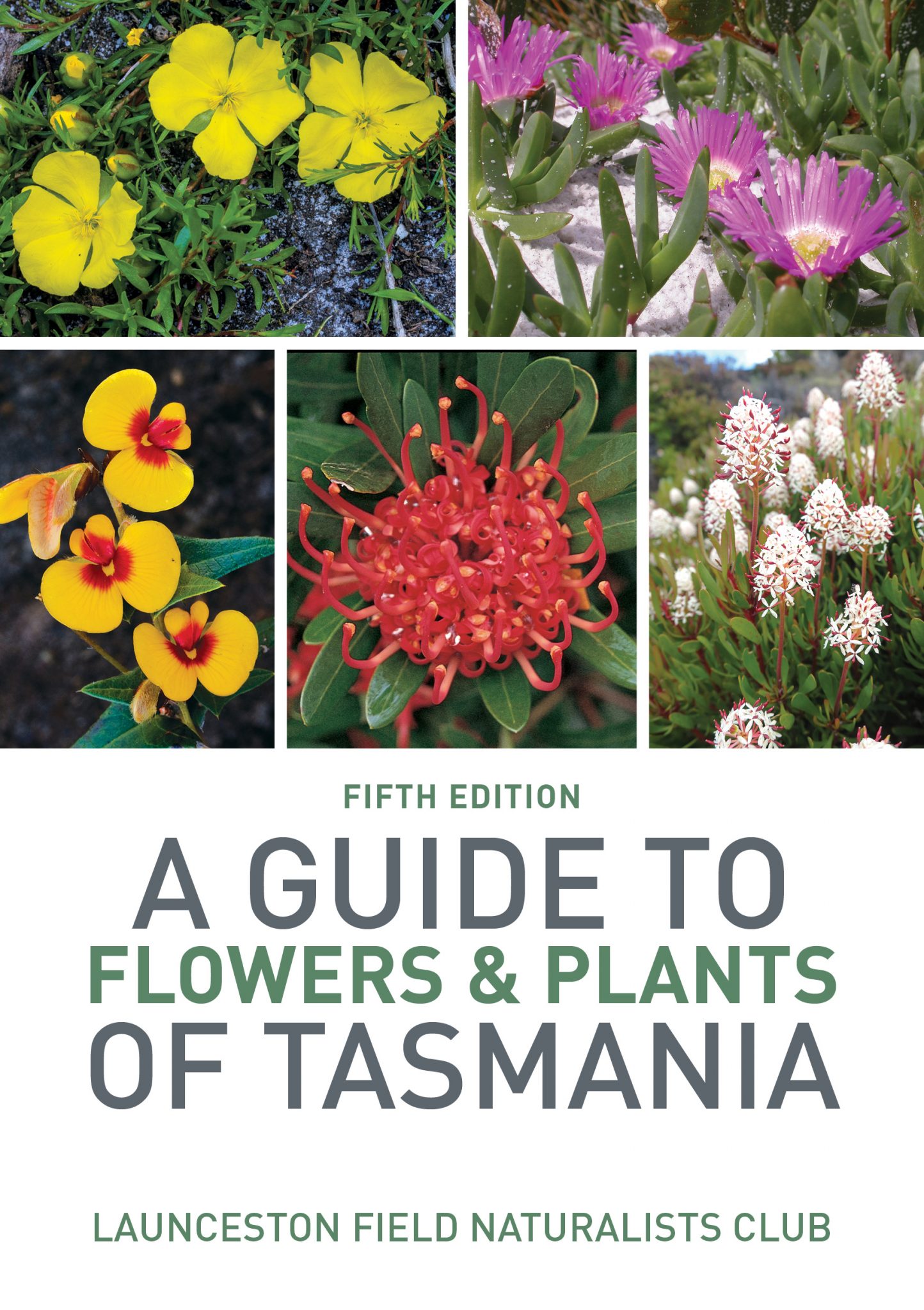 A Guide to Flowers and Plants of Tasmania Ecobits Australia