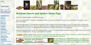 Brisbane Insects and Spiders website