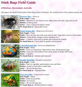 Brisbane Insects and Spiders website; stink bugs guide