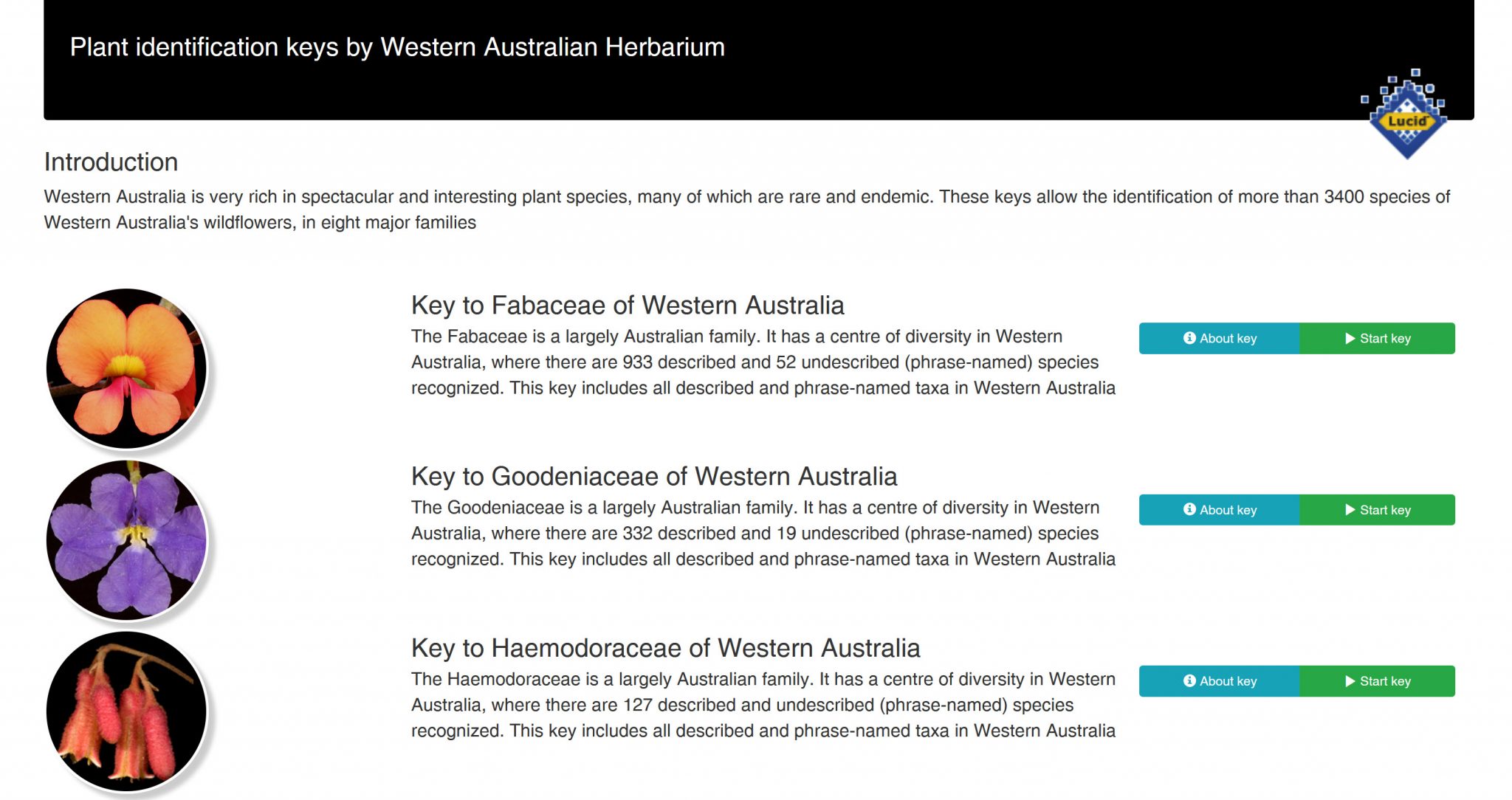 Plant identification keys to Western Australian plants Ecobits Australia