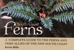 South Coast Ferns