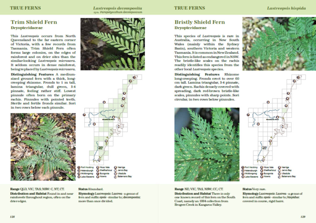 South Coast Ferns sample page