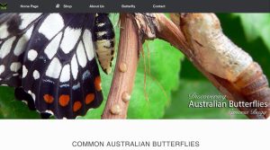 Australian Butterflies website