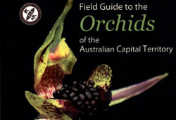 Field Guide to the Orchids of the Australian Capital Territory