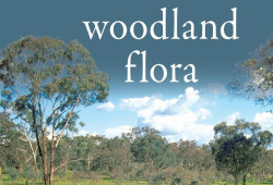 Woodland Flora: A Field Guide for the Southern Tablelands (NSW&ACT)
